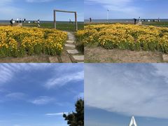 -日照灯塔风景区