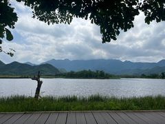 -大九湖