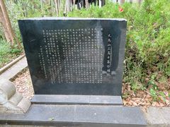 -上海佘山国家森林公园天马山园