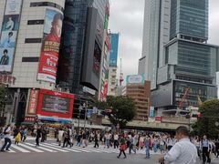 -涩谷区