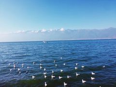 -大理洱海