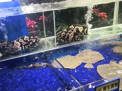 水产区-船歌·鱼水饺青岛菜(闽江二路店)