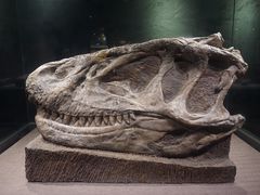 -自贡恐龙博物馆