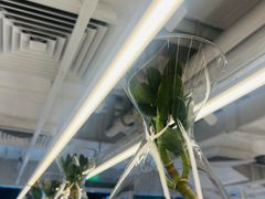 -% Arabica阿拉比卡咖啡(前滩太古里店)