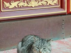 -开福禅寺