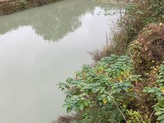 -紫颐香薰山谷景区