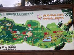 -西双版纳原始森林公园