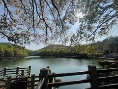 -朱洪元苏式面馆(绿宝广场店)