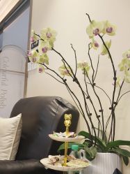 -M13瑾玳•专业美甲美睫