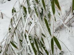 -嘉陵江源头景区