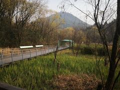 -西湖风景区-江洋畈生态公园