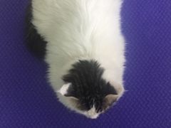 -美迦爱-牙专科·兔科·骨科诊疗中心(北苑店)