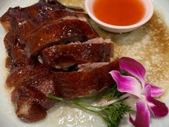 -香港威特瑞茶餐厅(小白楼音乐厅店)