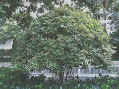 -速8精选酒店(北京崇文门同仁医院店)