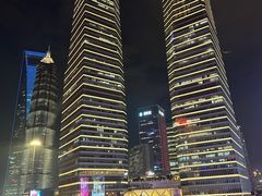 -陆家嘴空中步行连廊