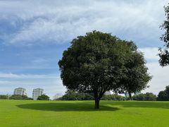 -重庆中央公园(渝北区)