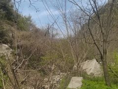 -西安祥峪森林公园