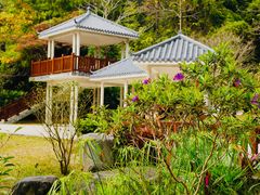 -火炉山森林公园