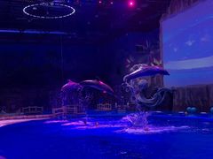 -华夏文旅海洋公园