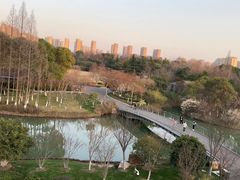 -青枫公园
