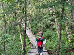 -白草畔自然风景区