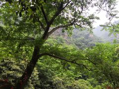 -浙北大峡谷