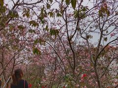 -小南山公园
