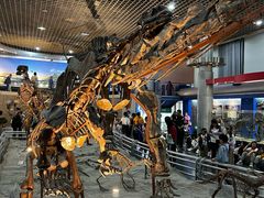 -国家自然博物馆