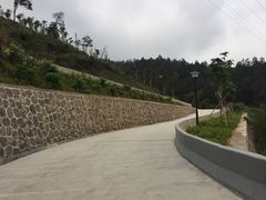 -中山市树木园