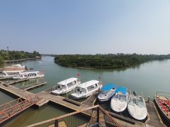 -东寨港红树林旅游区