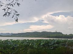 -湖畔居茶楼(湖滨店)