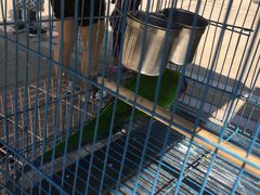 -陕西自然博物馆