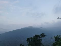 -海南霸王岭国家森林公园