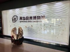 -青岛贝壳博物馆