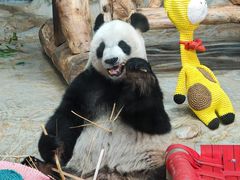 -海南热带野生动植物园