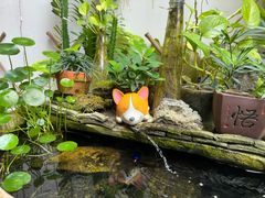 -茶米人花园餐厅