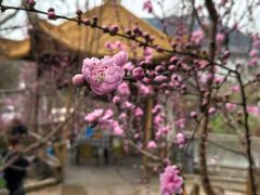 -正宗火盆自助烧烤·烤全羊·柴火鸡(龙泉山店)