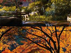 -九曜山