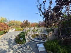 -大连金石滩绿发温泉假日酒店