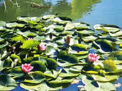 -国家植物园南园