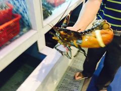 -船奇蒸汽海鲜·闽菜(八市海鲜总店)