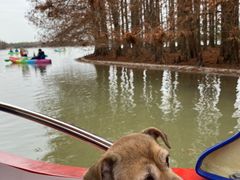 -上海海湾国家森林公园