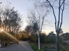-东郊湿地公园