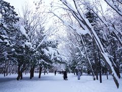 -北海道神宫