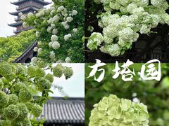 -常熟方塔园