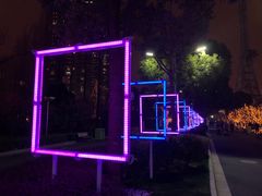 -锦江乐园舞狸花花游园会(夜场专享)
