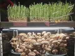 -捞王猪肚鸡火锅(金华义乌之心店)