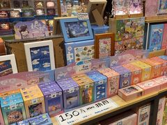 -猫的天空之城概念书店(束河店)