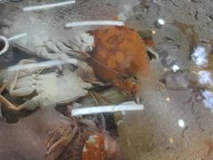 -仙螺岛海鲜自助餐厅(总店)
