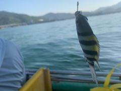 -玫瑰海岸文化旅游度假区